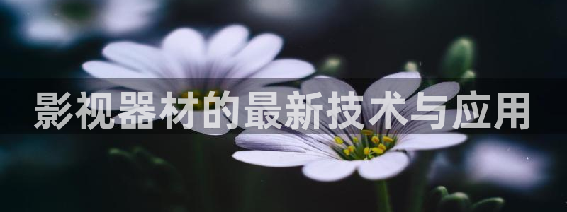 红叶电影