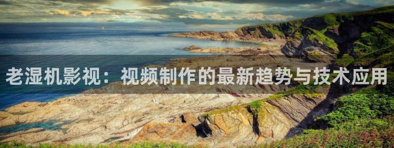 红叶电影今日影讯