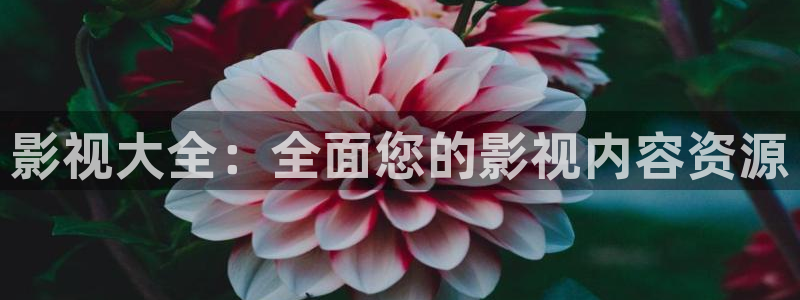 红叶影城：影视大全：全面您的影视内容资源