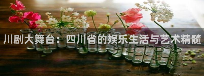 红叶影城：川剧大舞台：四川省的娱乐生活与艺术精髓