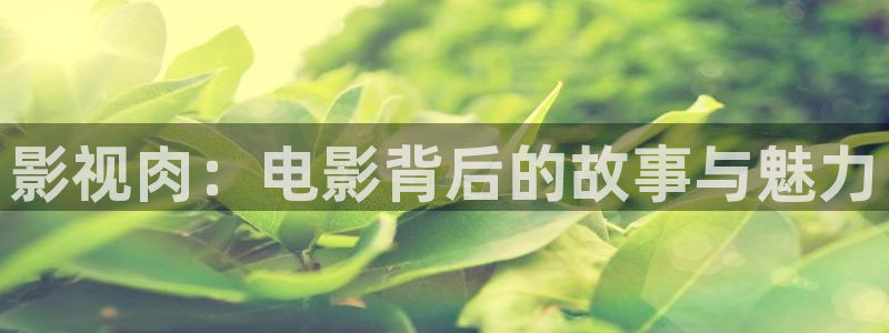 红叶影城影讯：影视肉：电影背后的故事与魅力