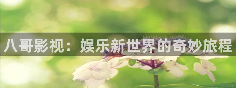 红叶电影今日影讯：八哥影视：娱乐新世界的奇妙旅程