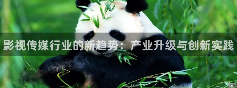 红叶影视完整版：影视传媒行业的新趋势：产业升级与创新实践