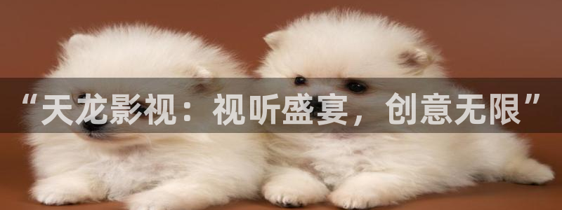 西安红叶影城：“天龙影视：视听盛宴，创意无限”