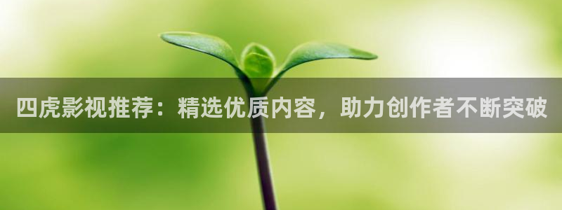红叶影视app官方下载